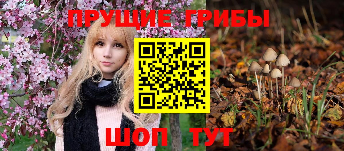 Галлюциногенные грибы GOLDEN TEACHER Алушта
